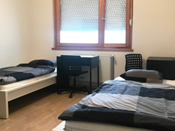 Dom ZAG room